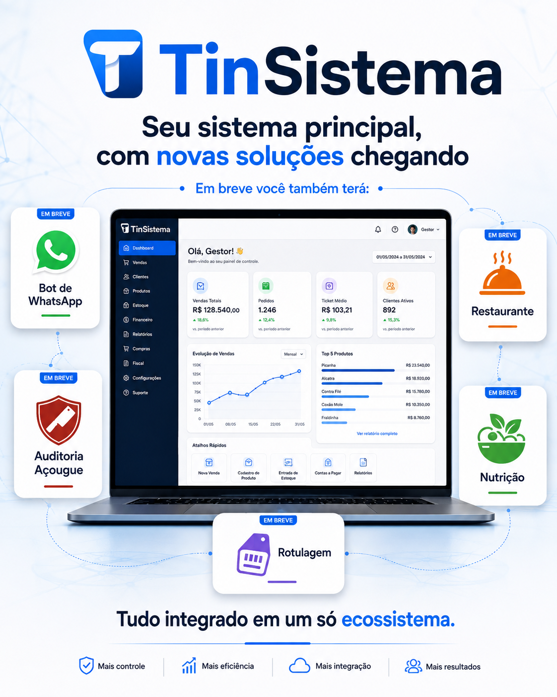 Apresentação do ecossistema de soluções TinSistema